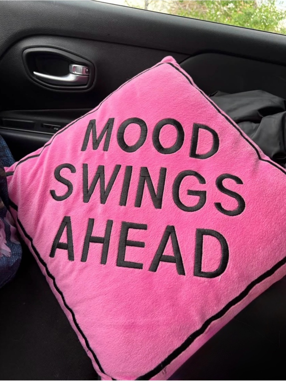Pink Sign Pillow Warning Mood Swings Ahead